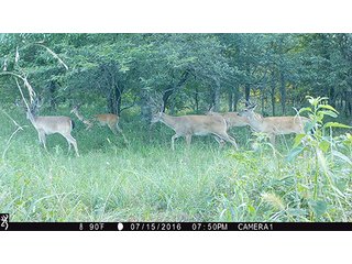 Property photo 10 - LAND AUCTION - 860+/- ACRES OFFERED IN 7 TRACTS IN PITTSBURG COUNTY, OKLAHOMA